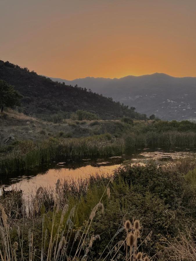 باتي Villa Rica المظهر الخارجي الصورة